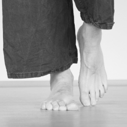 QIGong vom Feinsten