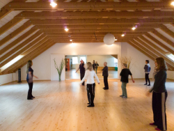 Qi Gong Bewegungstherapie für Jung und Alt