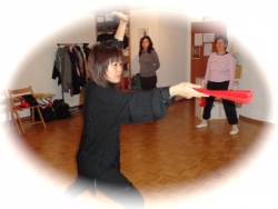 Taiji/Gongfu Fan, Qigong Fünf Elemente, Taiji 24 Form, Taiji Yang Stil, Hu Shen Qigong